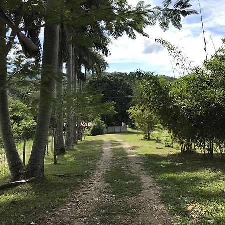 Cabanas Maya Rue Palenque Εξωτερικό φωτογραφία